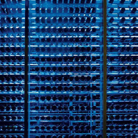 Secrets The Vine Cancun (Adults Only)-2